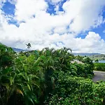 Hale Kailea Tvnc #4241