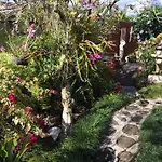 The Secret Garden Room