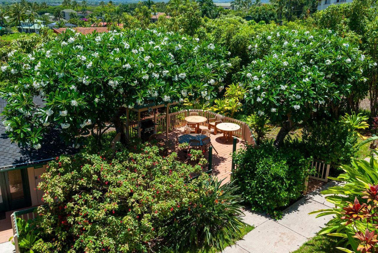 Poipu Plantation Vacation Apartment *