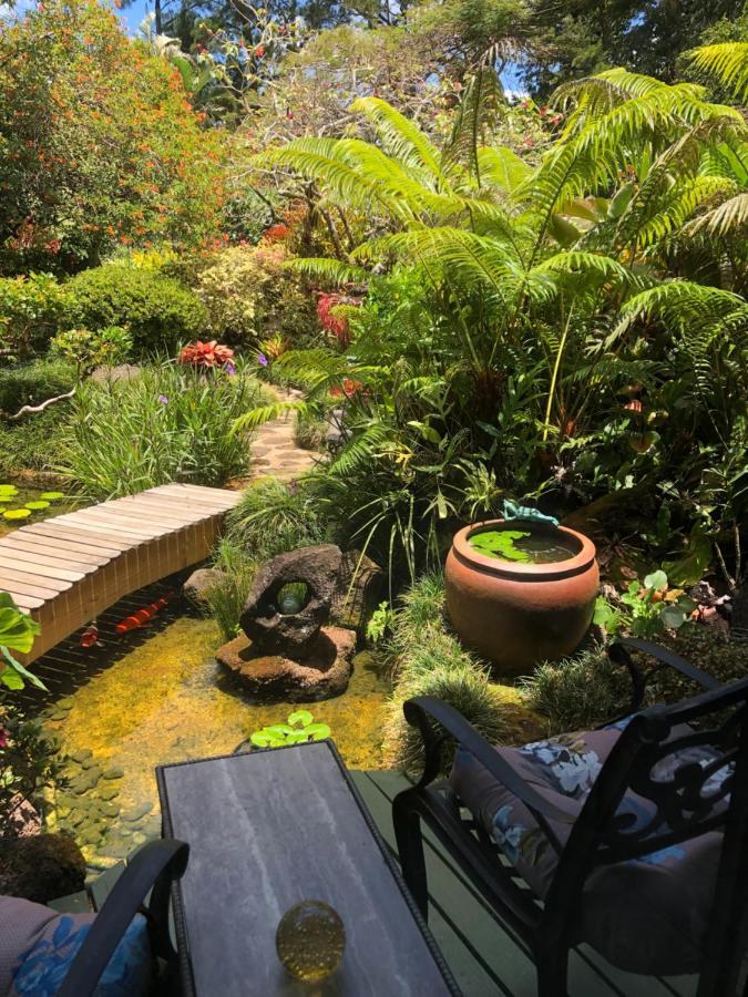 The Secret Garden Holiday home
