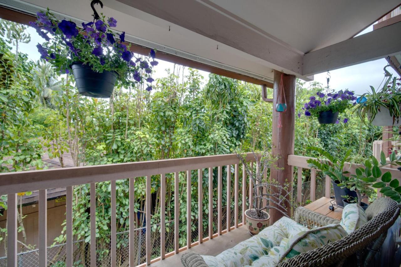 Apartment Kauai Vacation Walk To Kalapaki Beach! Lihue
