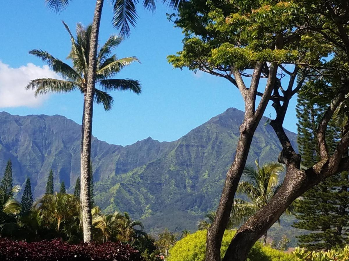 Puu Poa Ocean Bluff Condo, Incredible Views, Walk To Beaches, Pool & Tennis Apartamento Princeville