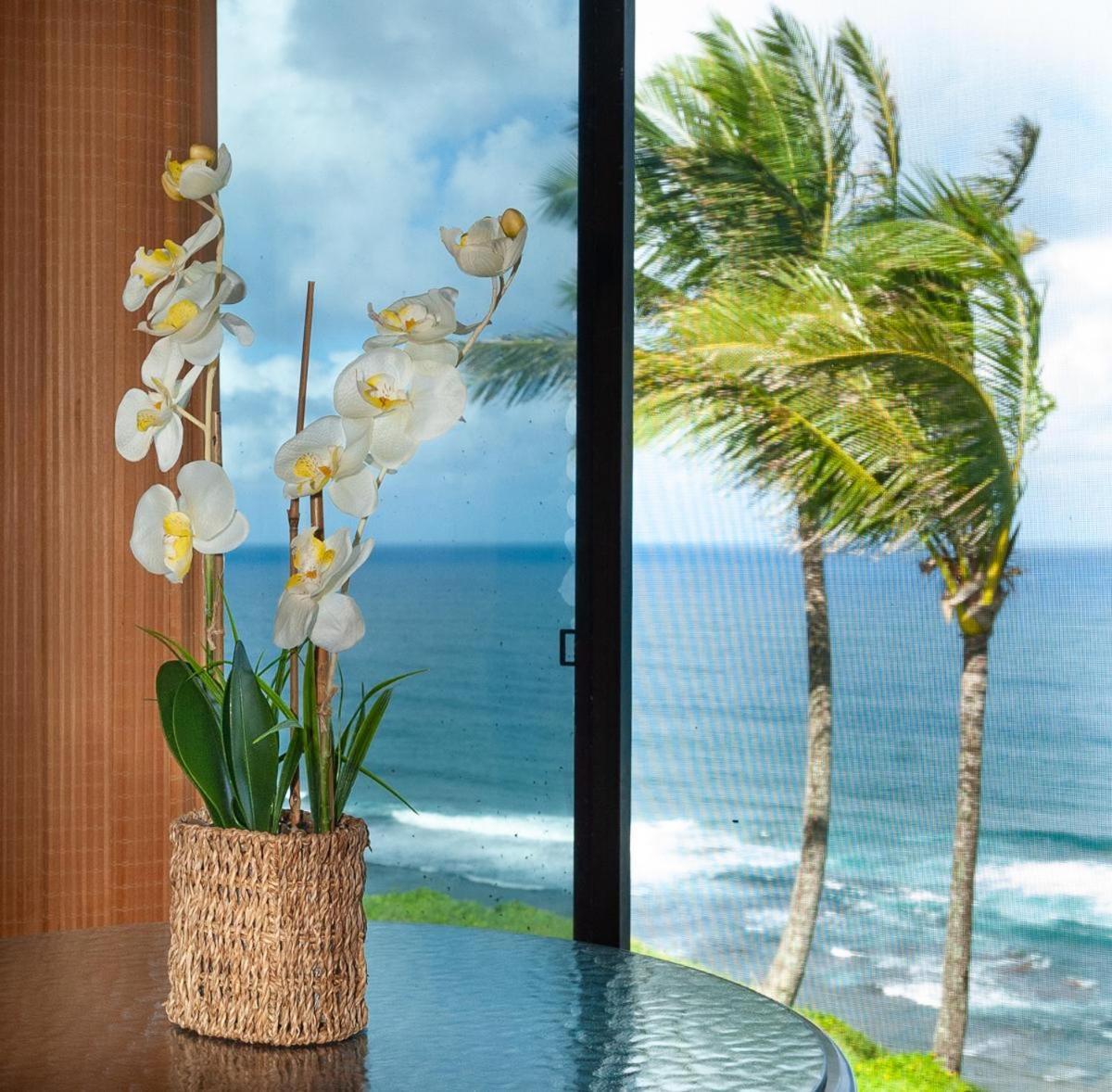 Apartamento Sealodge D7