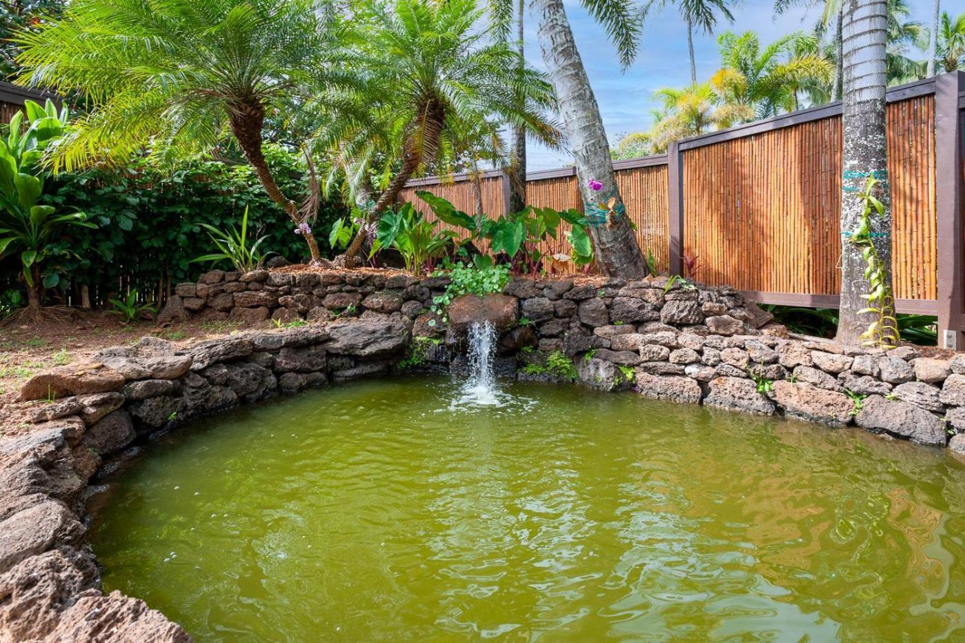 Colony K4 * Hanalei
