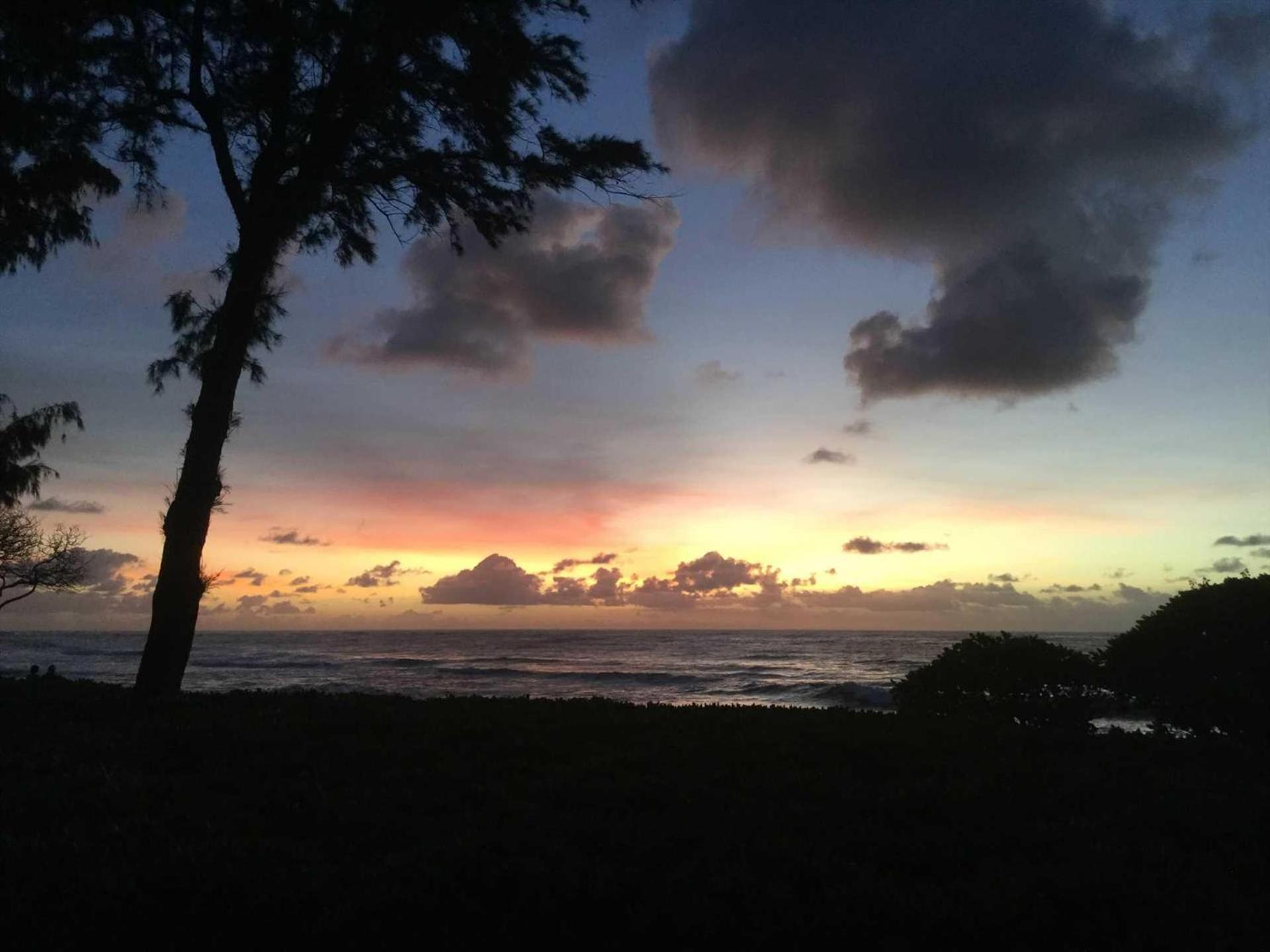 Apartment Islander On The 152 Kapa'a