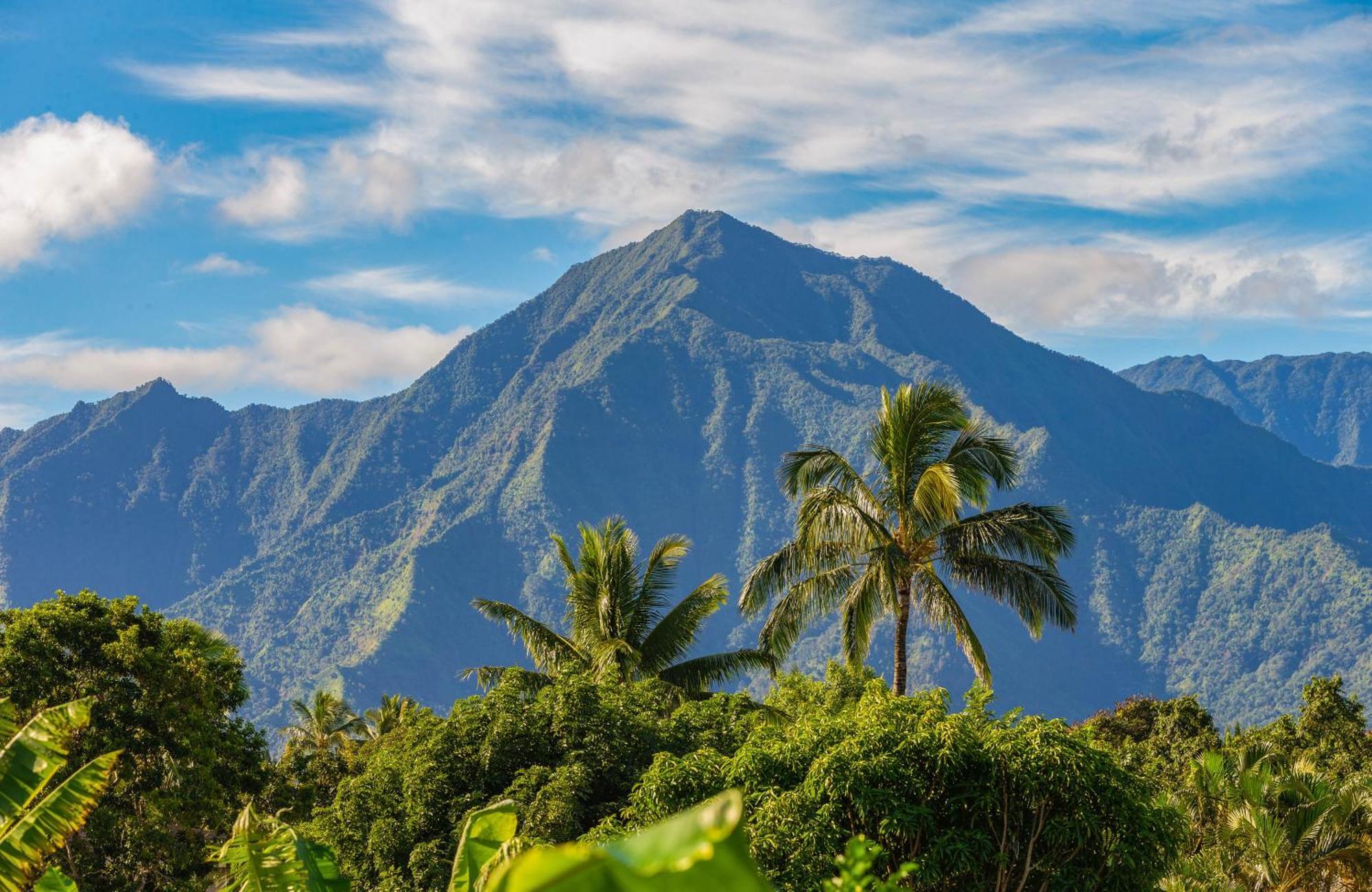 Holiday home Pili Aloha Princeville