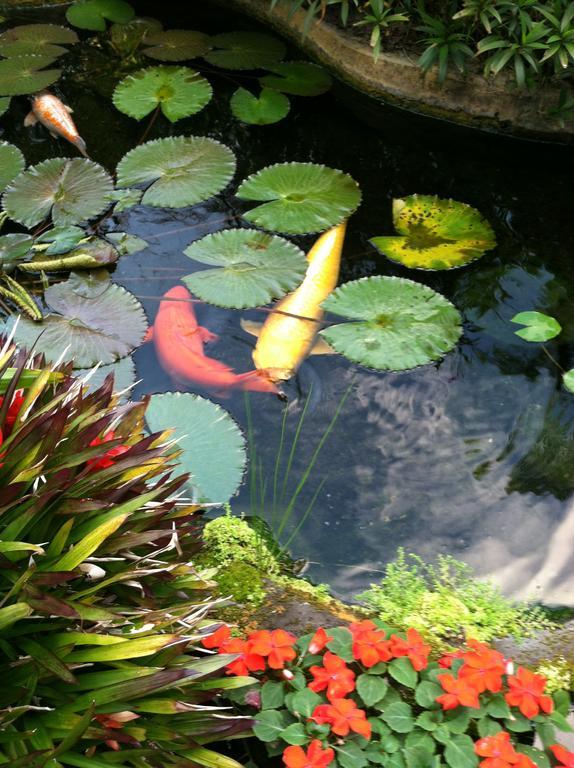 The Secret Garden Kapa'a
