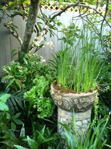 The Secret Garden Holiday home *