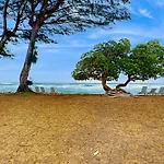 Islander On The Beach 171