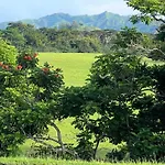 Kapaa Sands 10