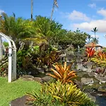 Pono Kai F207