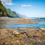 Waipouli Beach Resort G101