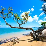 Hale La\'Au Pohaku Tvnc#4255