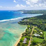 Anini Ohana Hale Tvnc#4255