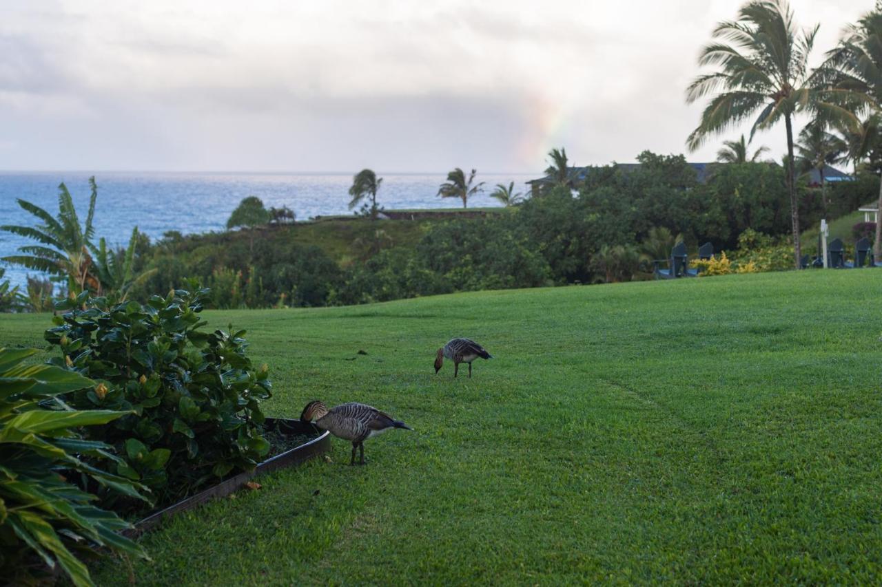The Cliffs At Princeville