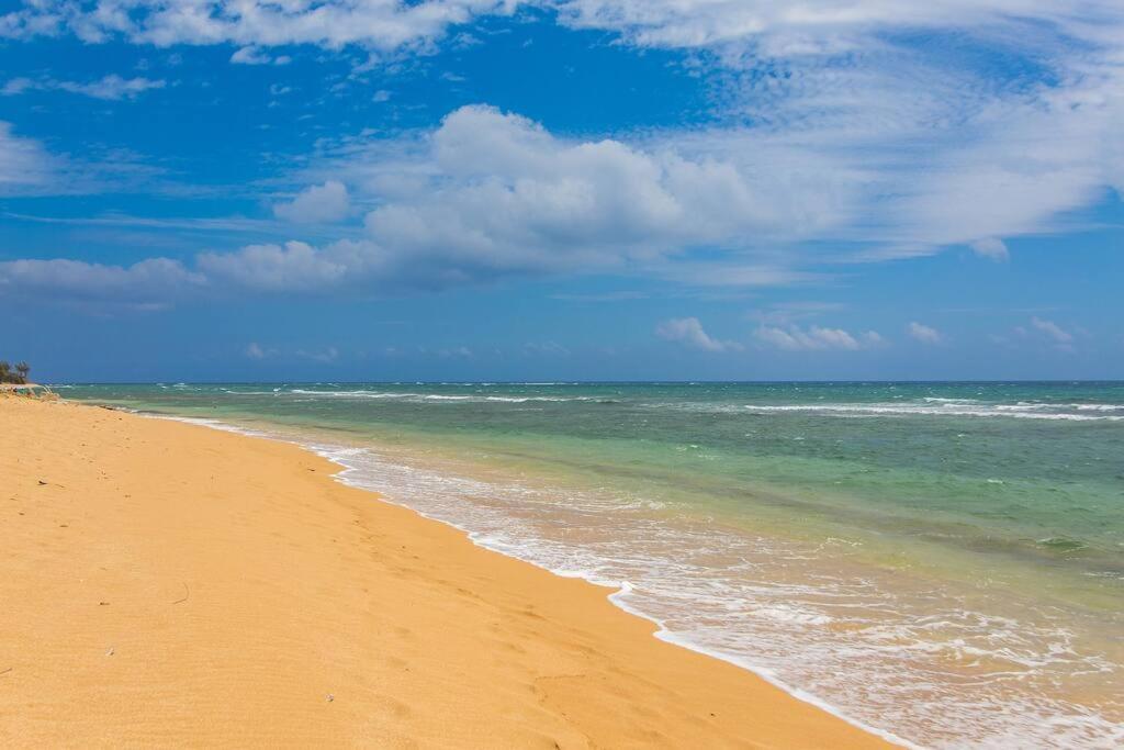 Apartamento Islander Ocean # 166 Kapa'a