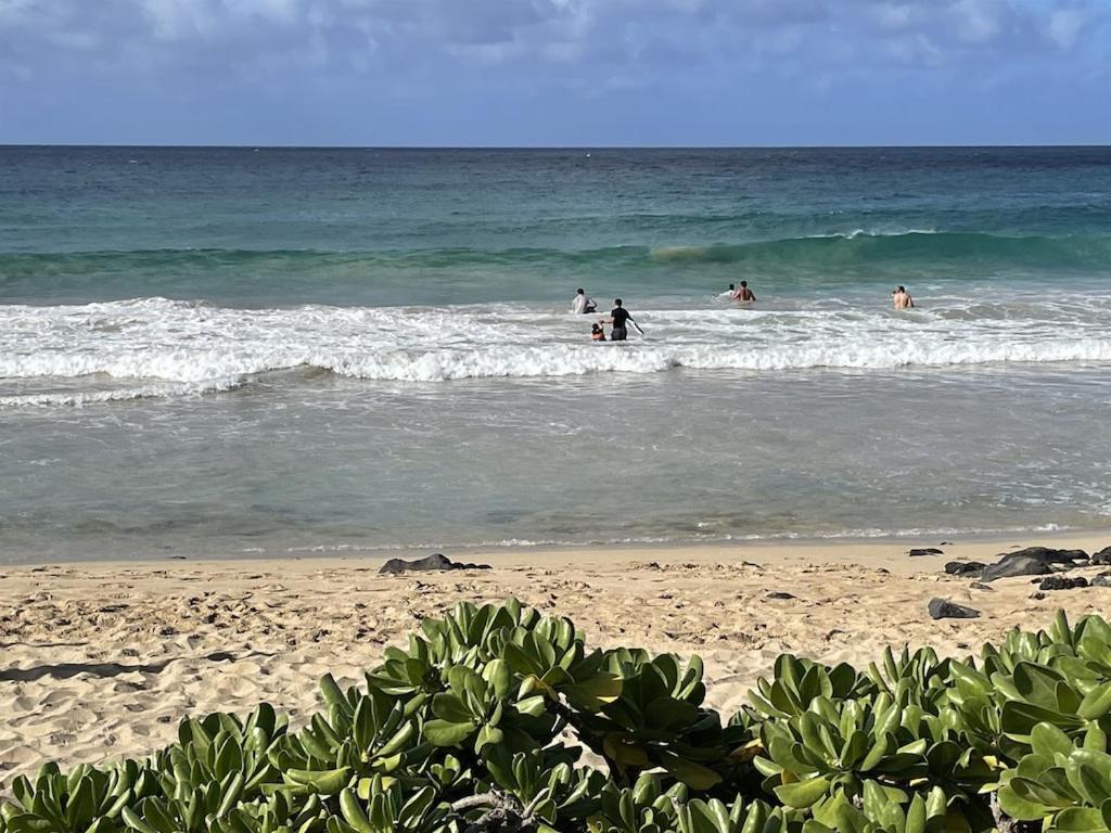 Honu He'e Nalu - The Surfing Turtle - Ocean & Beachfront! Stunning Views! Holiday home Koloa