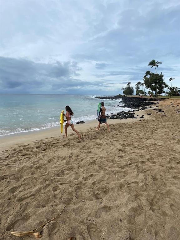Honu He'e Nalu - The Surfing Turtle - Ocean & Beachfront! Stunning Views! Koloa