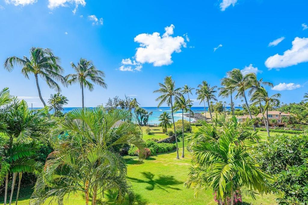 Honu He'e Nalu - The Surfing Turtle - Ocean & Beachfront! Stunning Views! Koloa