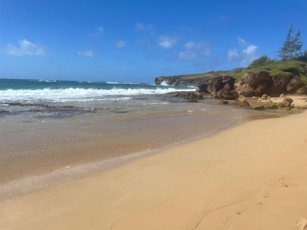 Honu He'e Nalu - The Surfing Turtle - Ocean & Beachfront! Stunning Views! Holiday home *
