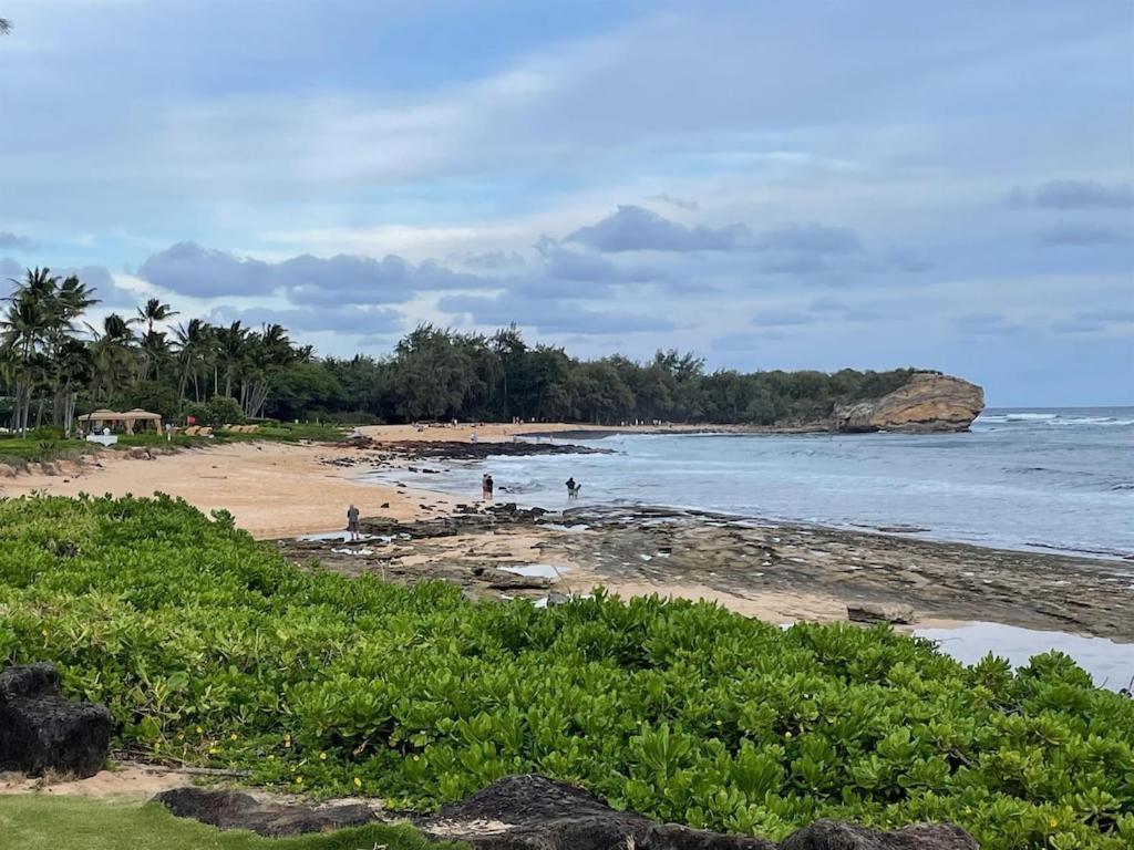 Honu He'e Nalu - The Surfing Turtle - Ocean & Beachfront! Stunning Views! *