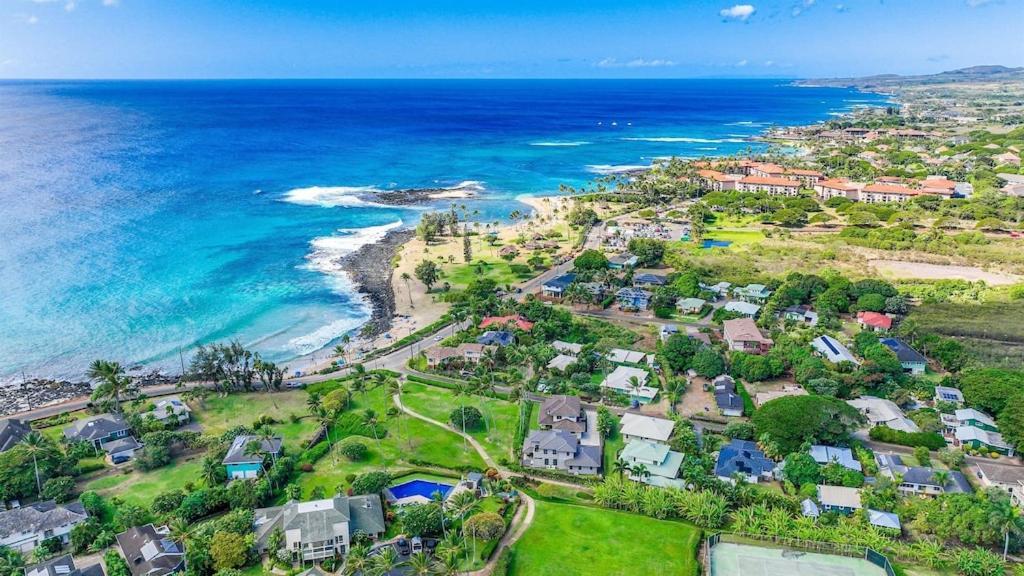 Honu He'e Nalu - The Surfing Turtle - Ocean & Beachfront! Stunning Views! Holiday home *