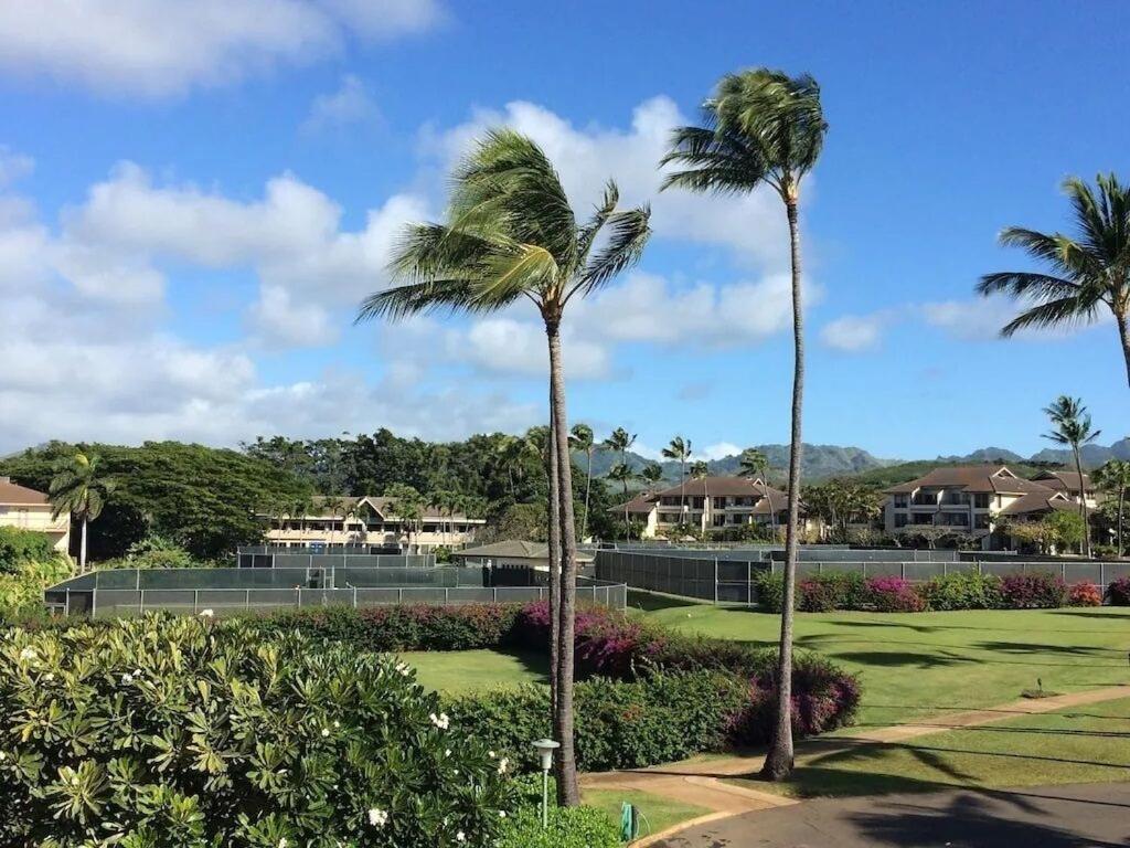 Honu He'e Nalu - The Surfing Turtle - Ocean & Beachfront! Stunning Views! Holiday home Koloa