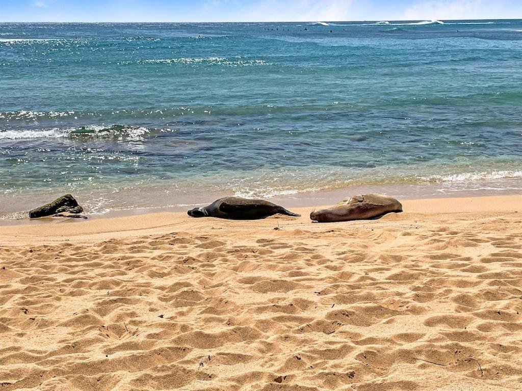 Honu He'e Nalu - The Surfing Turtle - Ocean & Beachfront! Stunning Views!