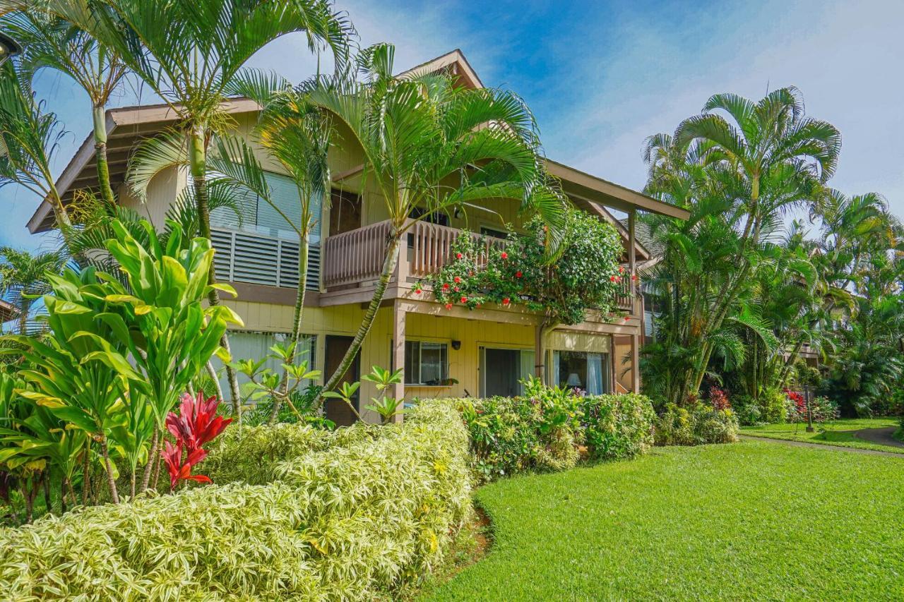 Hotel Sandpiper #105b