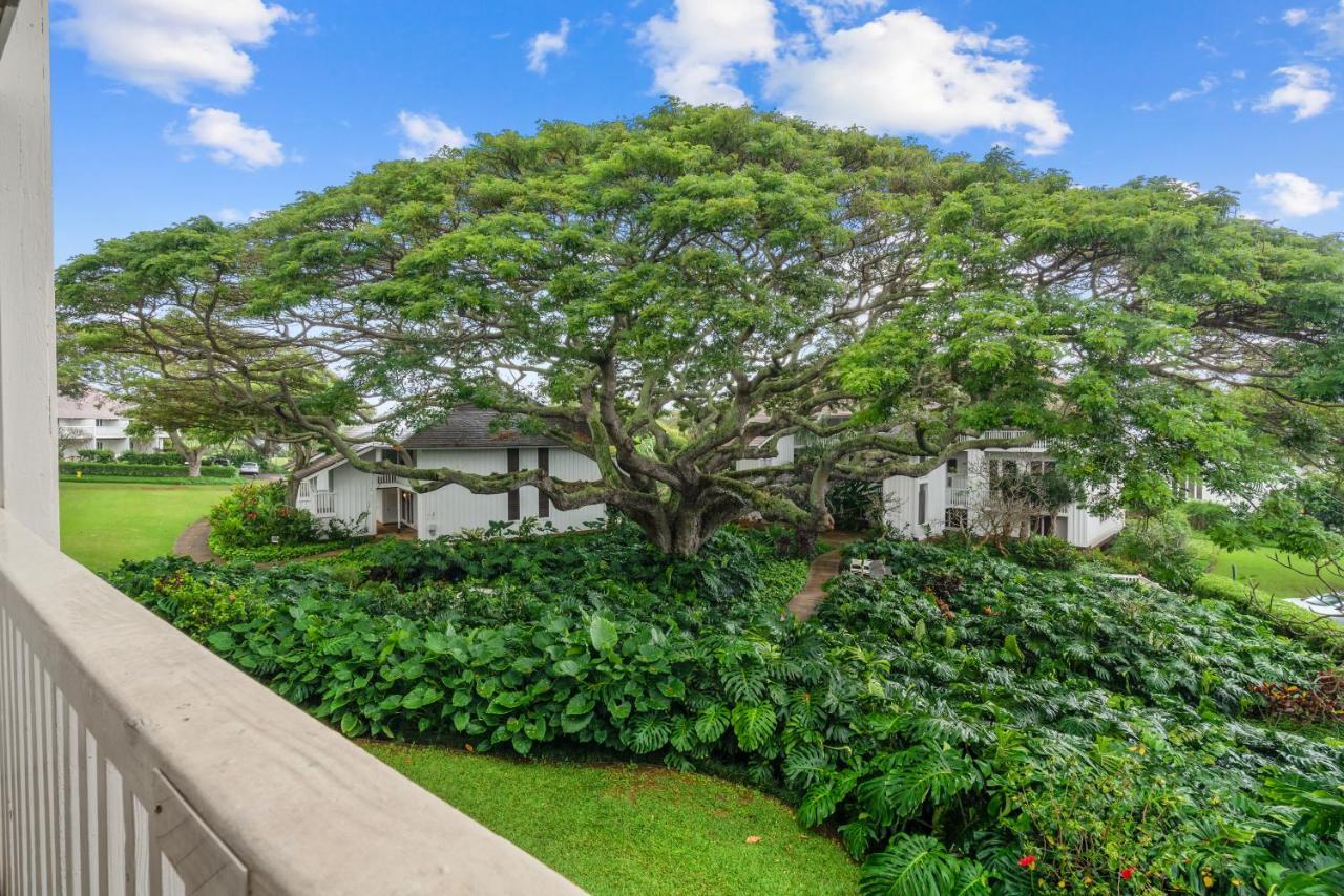 Apartamento Step To New Quiet Kiahuna Plantation Remodeled 2 Bedroom With Ac Koloa