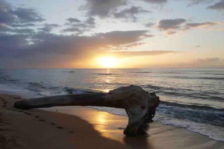 Islander Ocean # 166 Apartamento *
