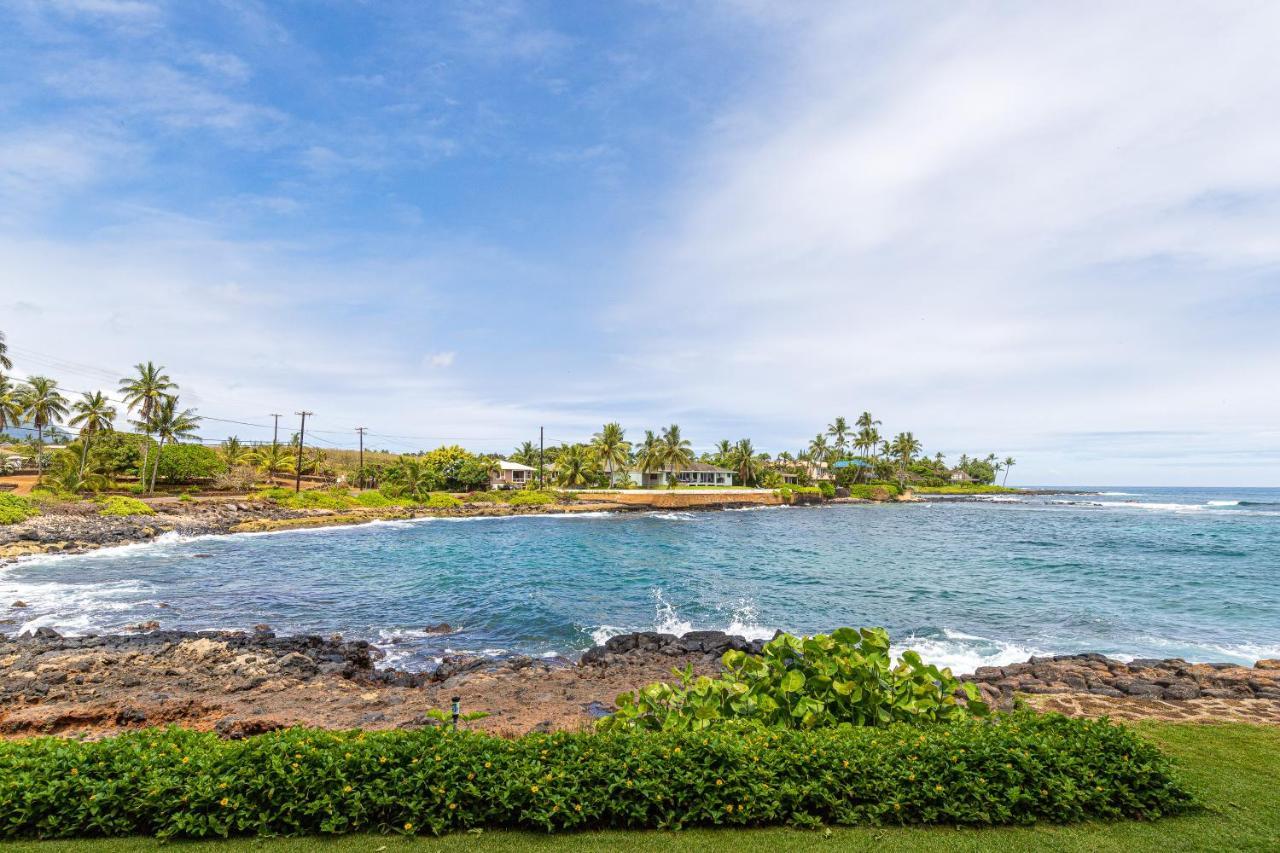 Kuhio Shores 201 Apartment