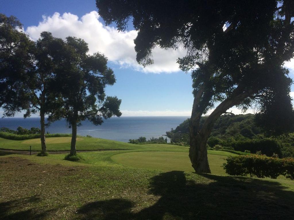 North Shore Kauai With Magnificent Views Holiday home *
