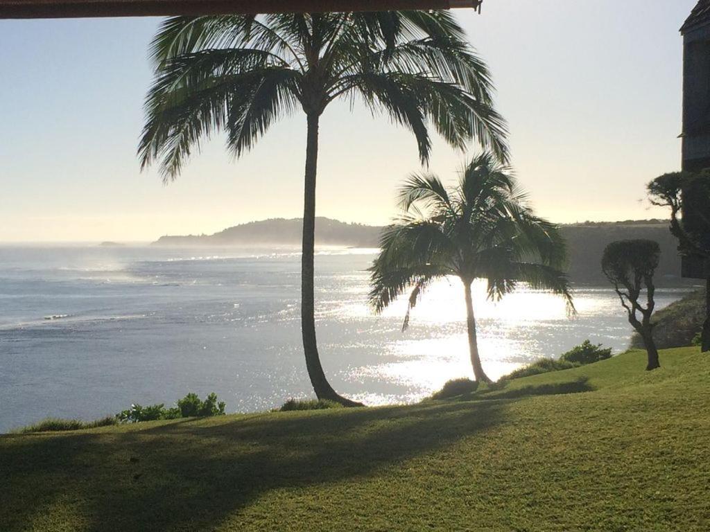 North Shore Kauai With Magnificent Views *