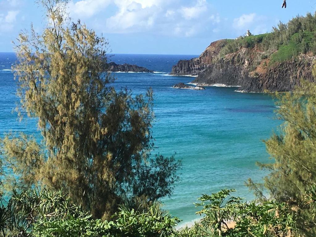 Holiday home North Shore Kauai With Magnificent Views Princeville