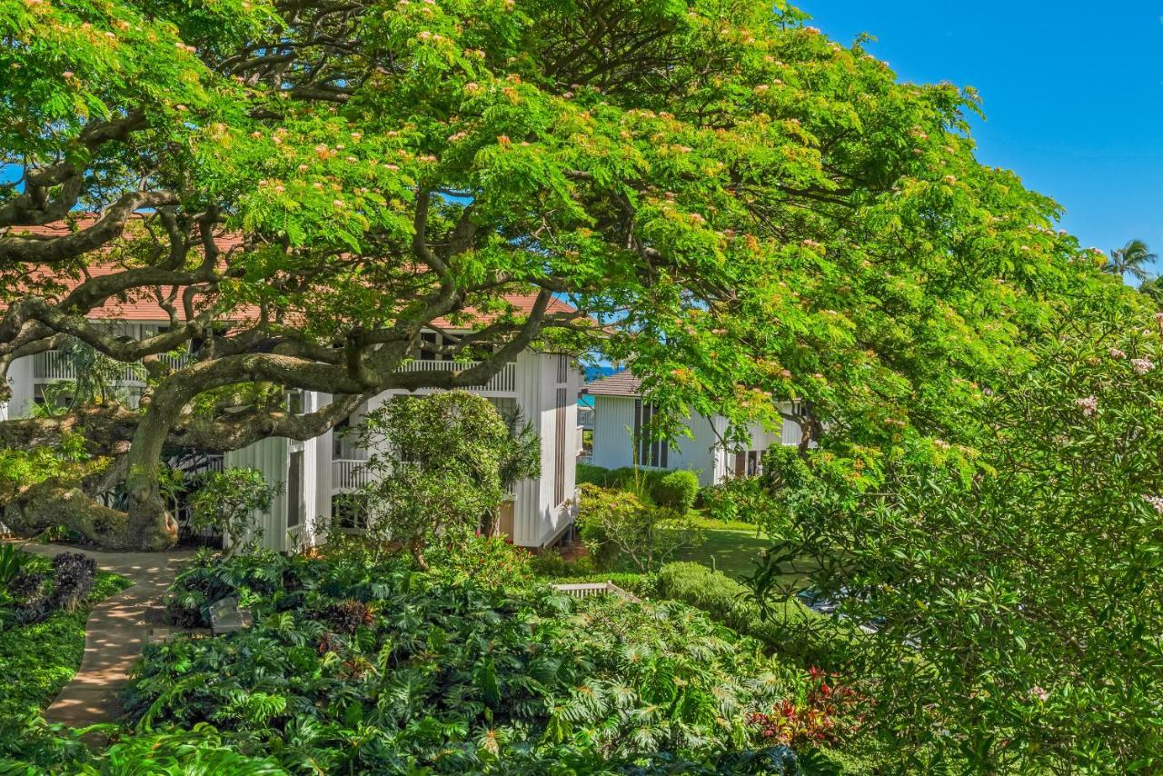 Apartamento Step To New Quiet Kiahuna Plantation Remodeled 2 Bedroom With Ac Koloa