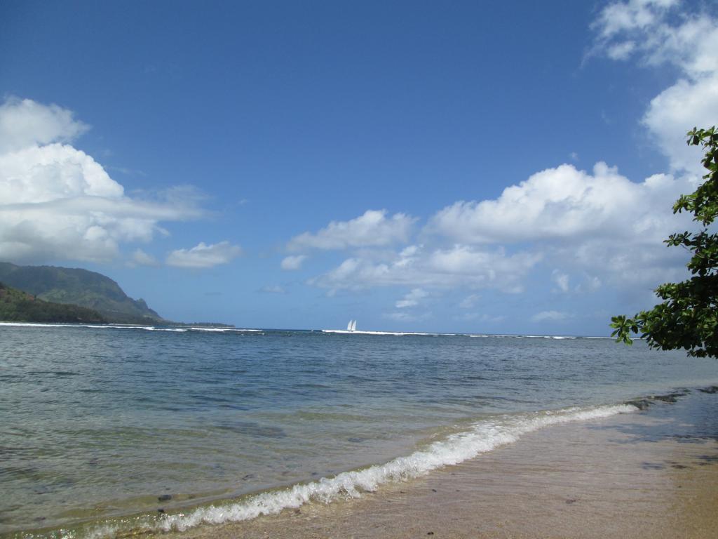 Sealodge Unit D-4 Holiday home Princeville