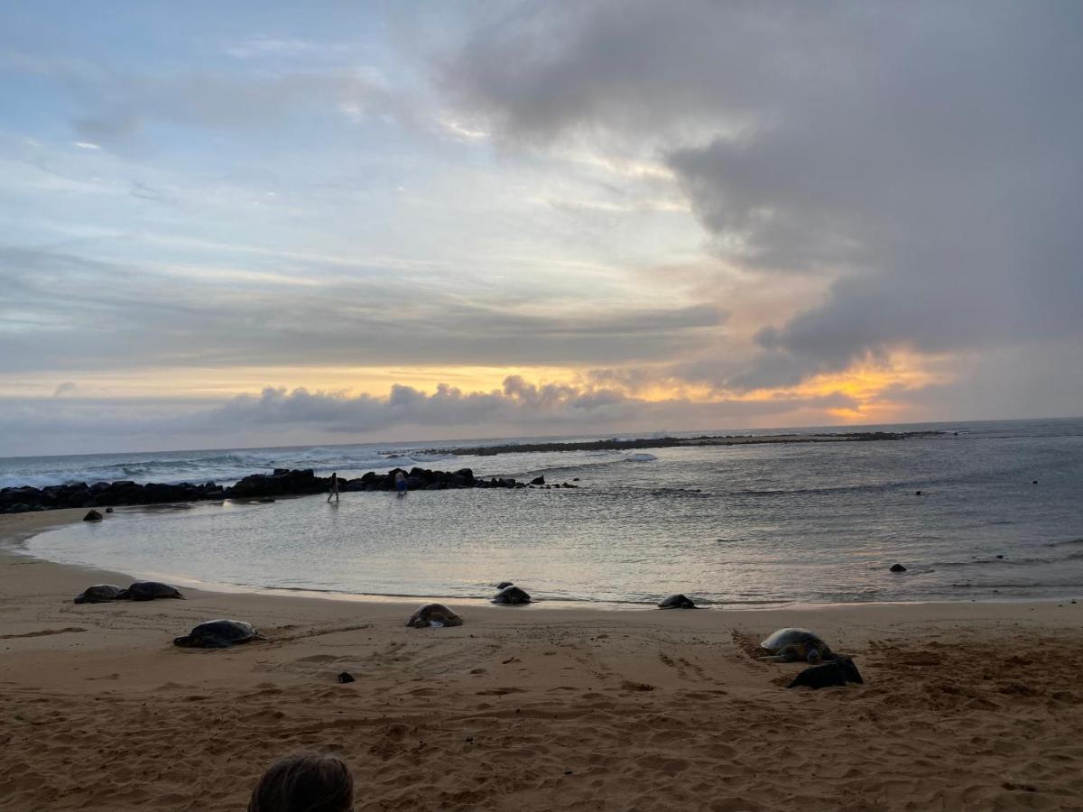 Puu Poa Ocean Bluff Condo, Incredible Views, Walk To Beaches, Pool & Tennis Apartment Princeville