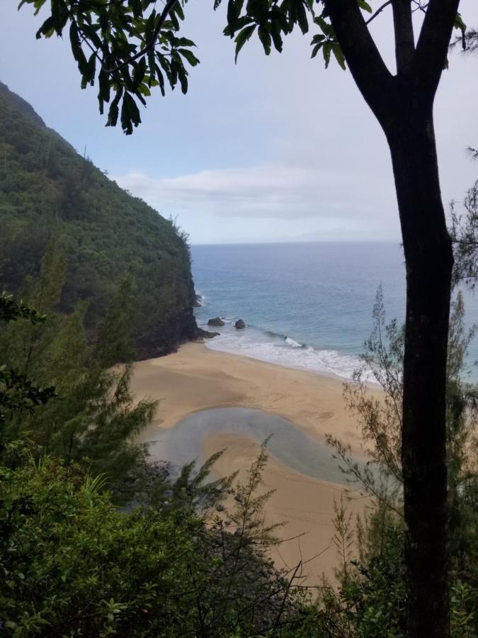 Puu Poa Ocean Bluff Condo, Incredible Views, Walk To Beaches, Pool & Tennis *