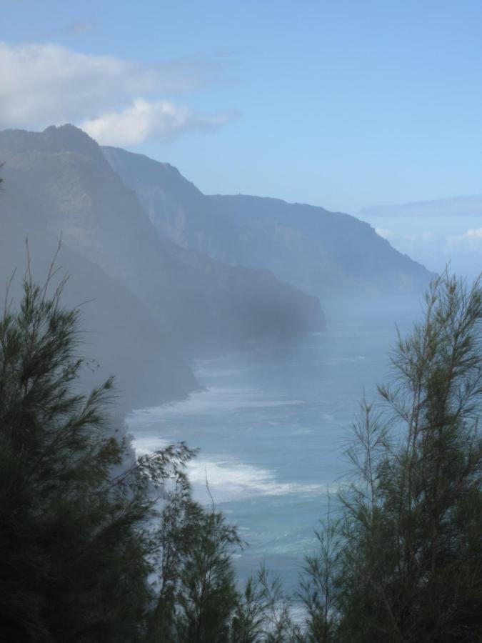 Puu Poa Ocean Bluff Condo, Incredible Views, Walk To Beaches, Pool & Tennis