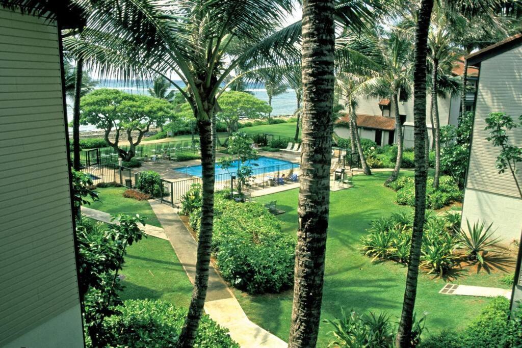 1br At Oceanfront Kapaa Shore *