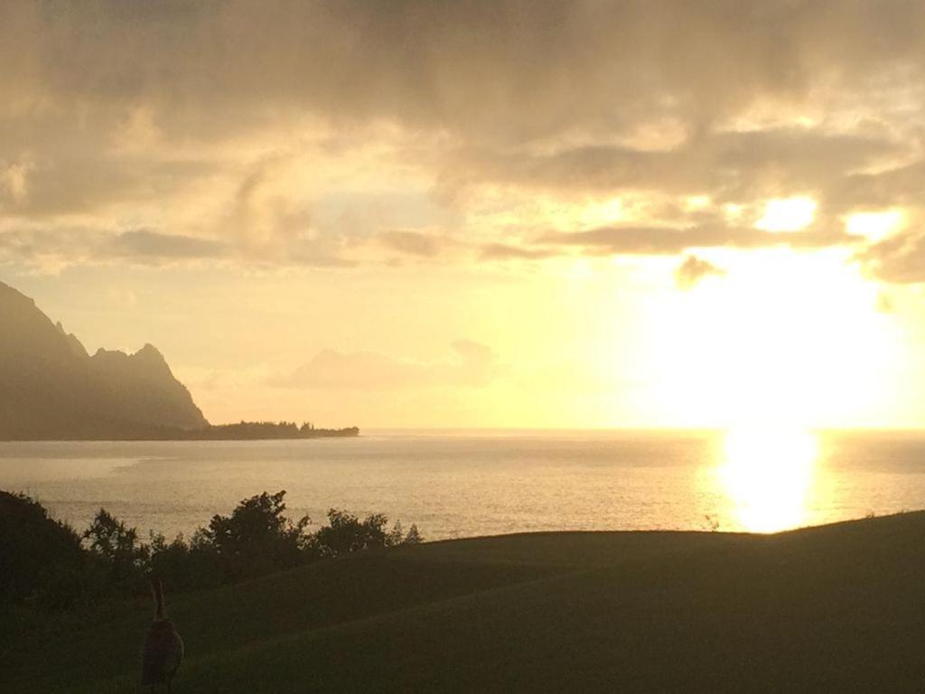 North Shore Kauai With Magnificent Views * Princeville