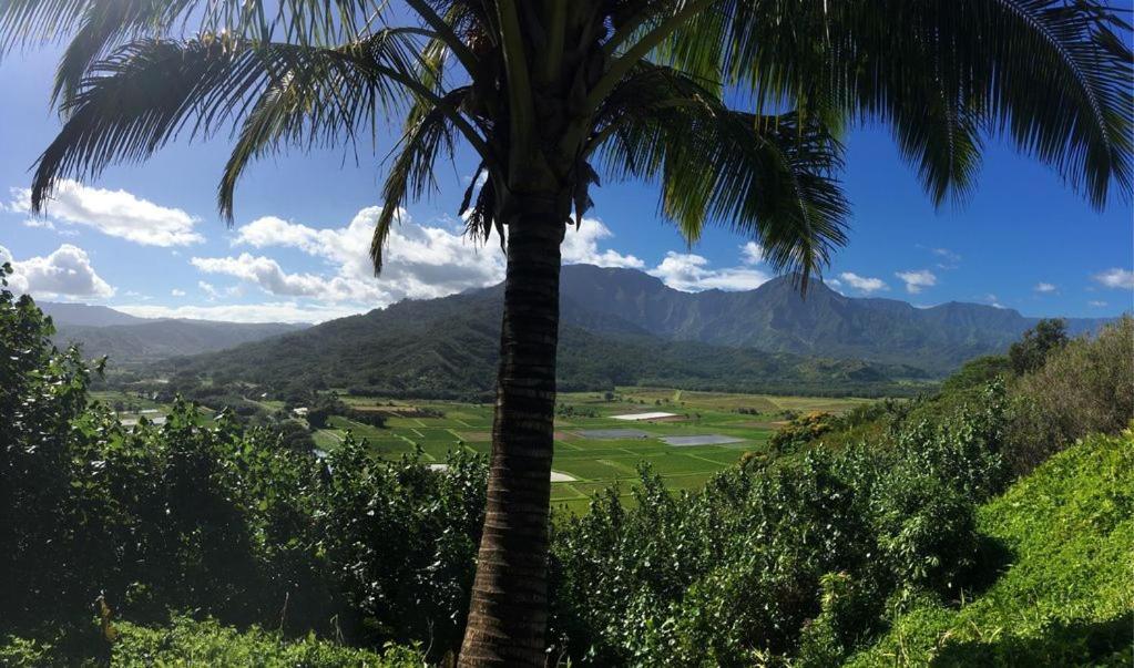 Holiday home North Shore Kauai With Magnificent Views