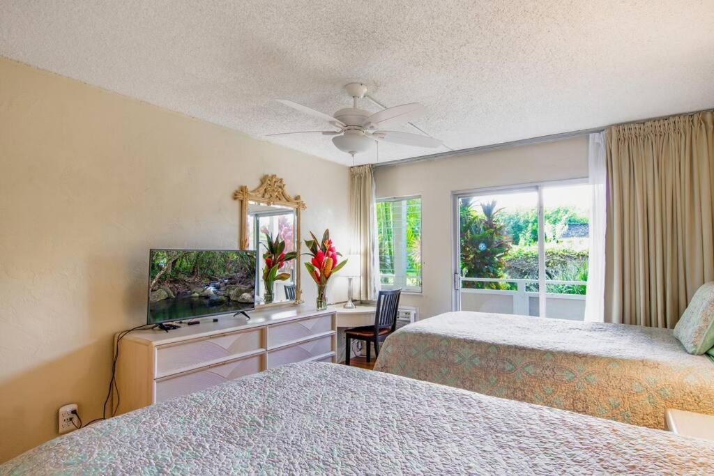 Lovely 1 Bedroom With Kitchen, Free Wifi & Parking Apartment Kapa'a