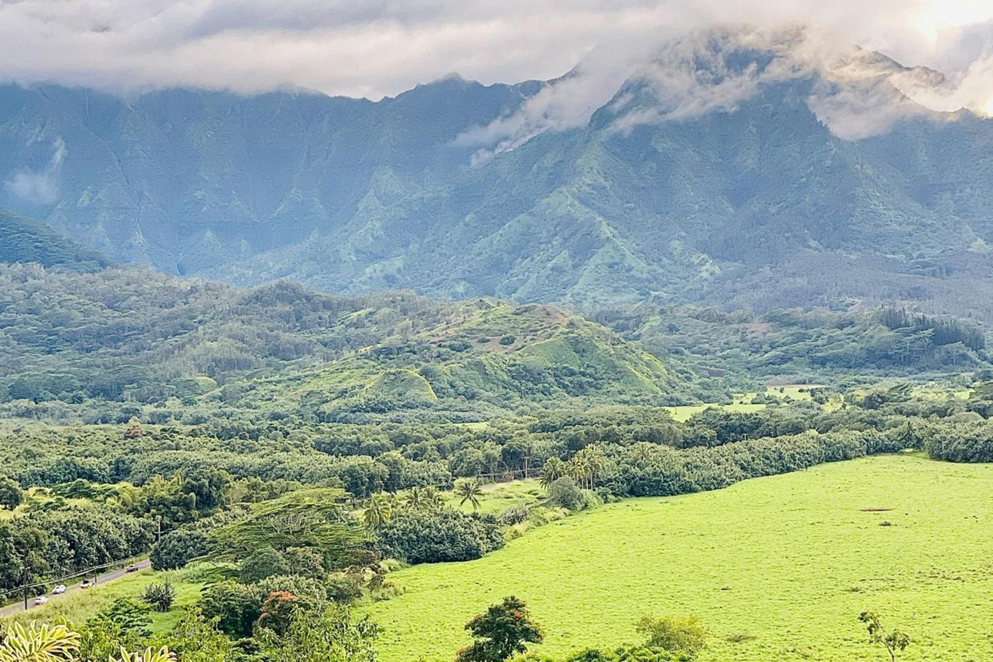 View House Tower! Princeville