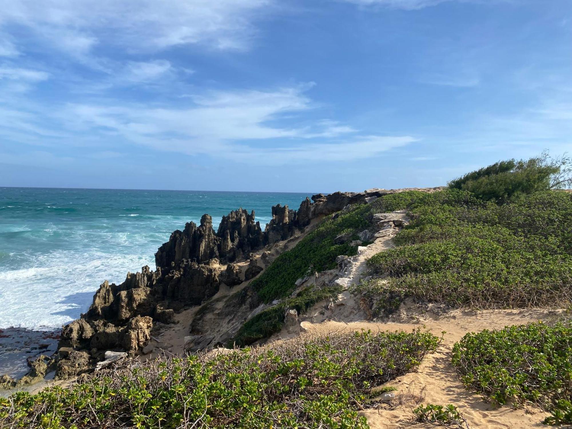 Puu Poa Ocean Bluff Condo, Incredible Views, Walk To Beaches, Pool & Tennis