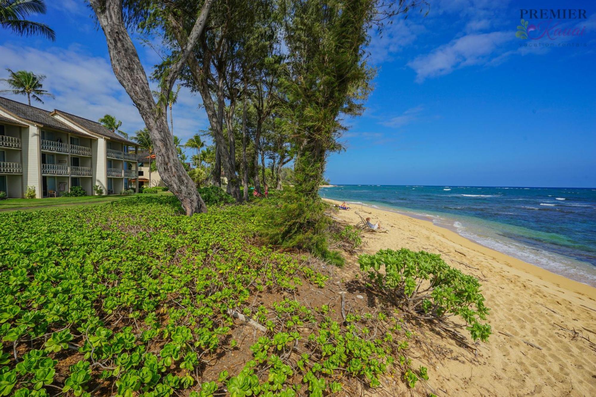 Apartment Seaview At The Islander On The Oceanview 201