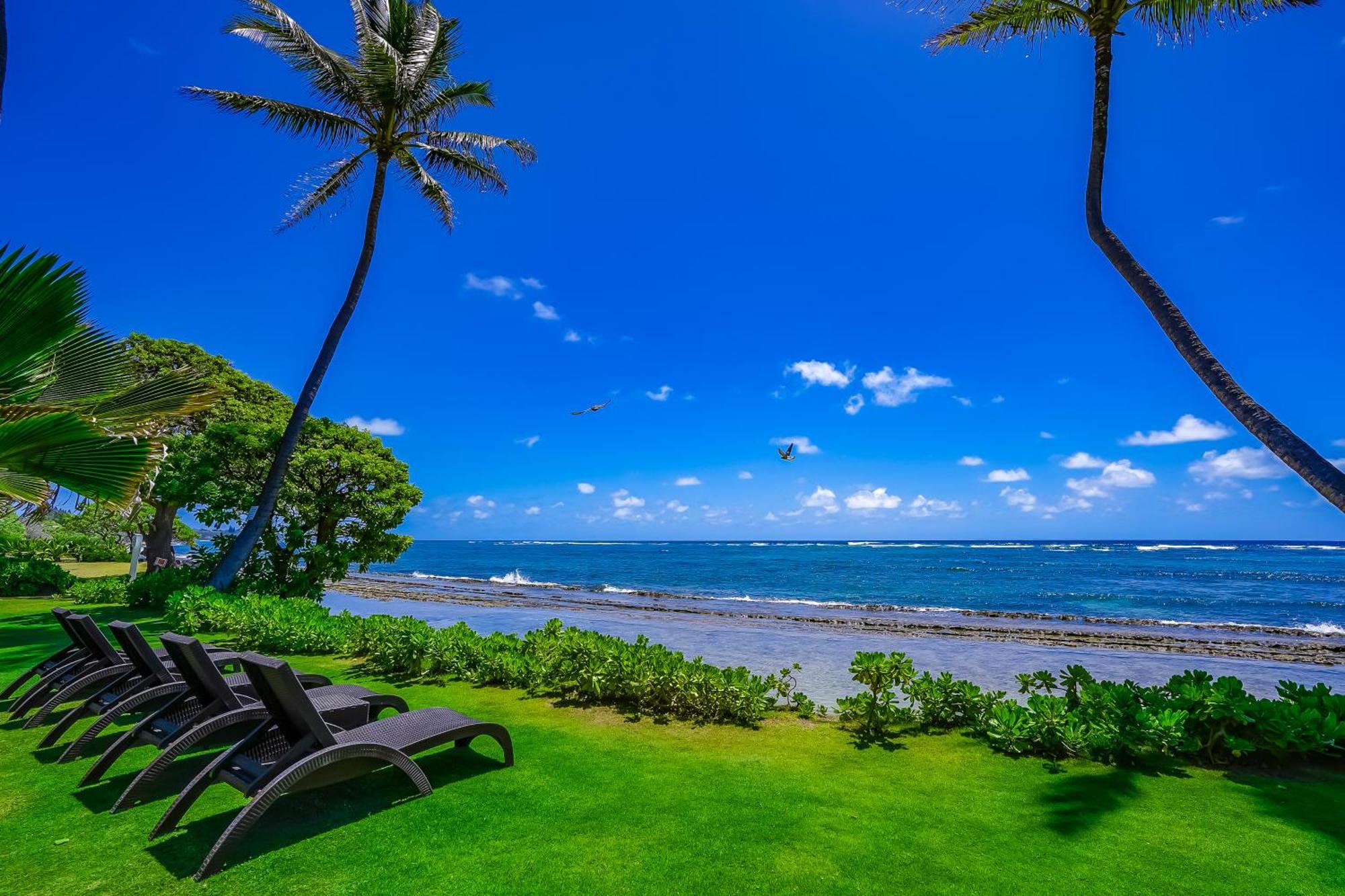 Kauai Kalani *