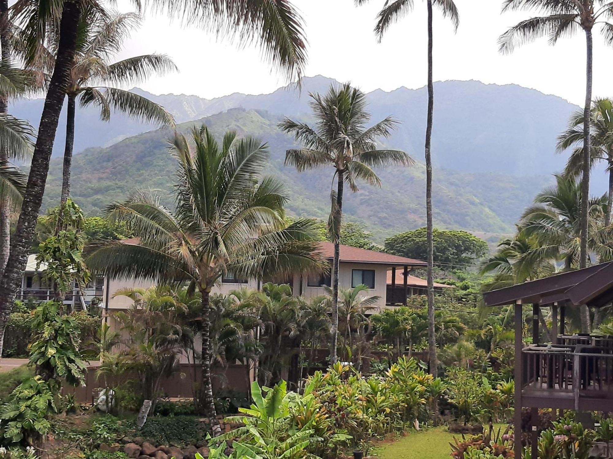 Colony H4 Hanalei
