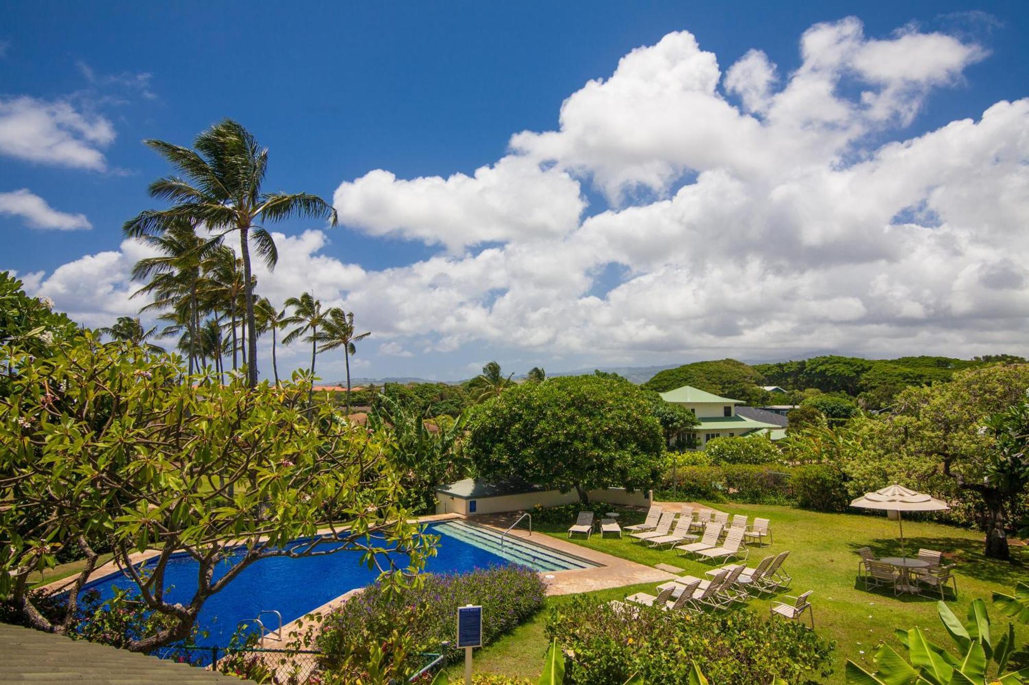 Manualoha 901 Minutes To Poipu Koloa
